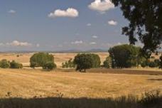 Castro de Solarana Castro de Solarana