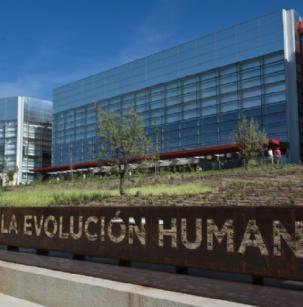 Museo de la Evolución Humana - 